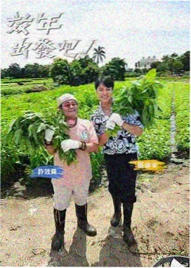 家政妇漫画单元剧专题封面